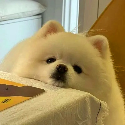超火的摆烂头像
