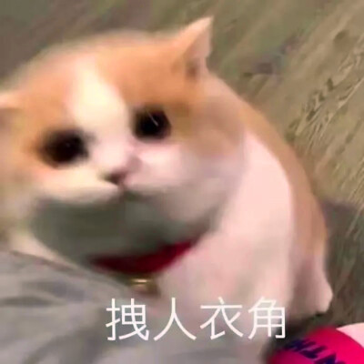 沙雕头像