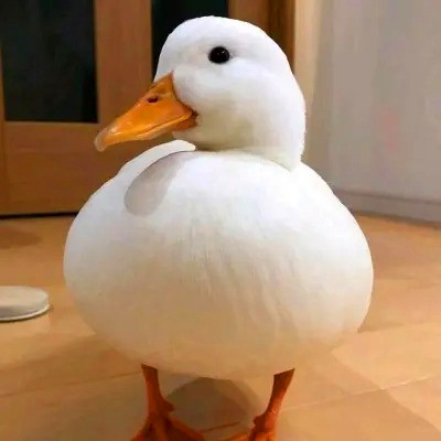 沙雕头像
