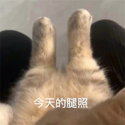 沙雕头像
