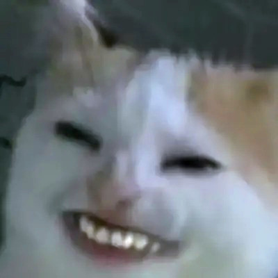 沙雕头像