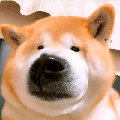 沙雕头像