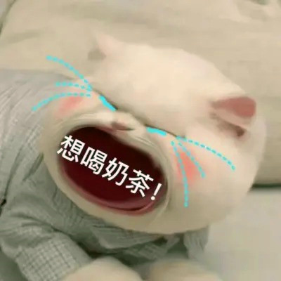 沙雕头像