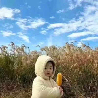 头像图片2025最火爆沙雕