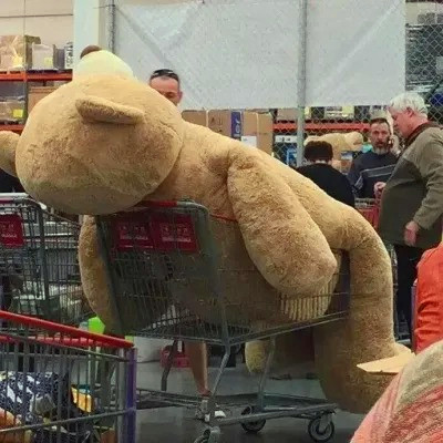 头像图片2025最火爆沙雕