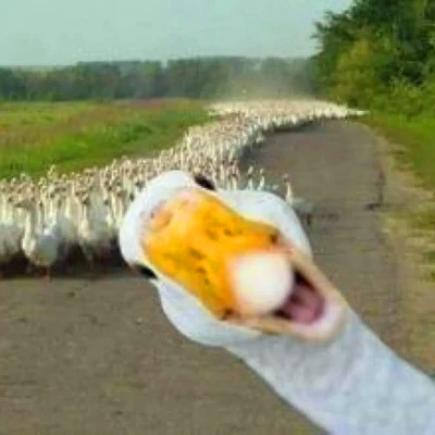 头像图片2025最火爆沙雕