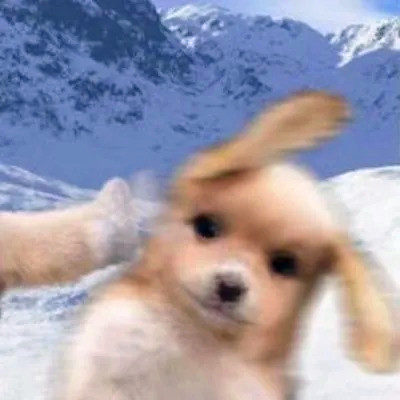 头像图片2025最火爆沙雕