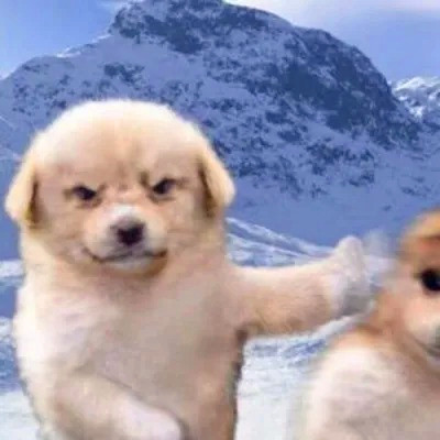 头像图片2025最火爆沙雕