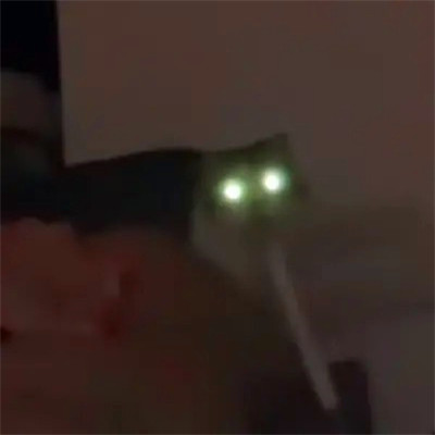 头像图片2025最火爆沙雕