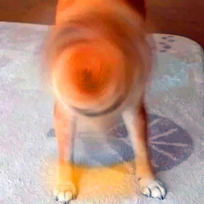 头像图片2025最火爆沙雕