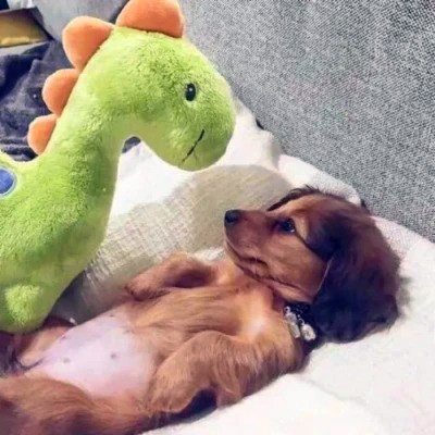 头像图片2025最火爆沙雕