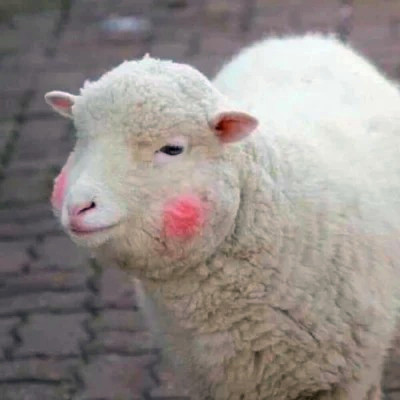 头像图片2025最火爆沙雕