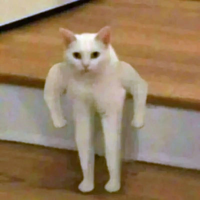 头像图片2025最火爆沙雕