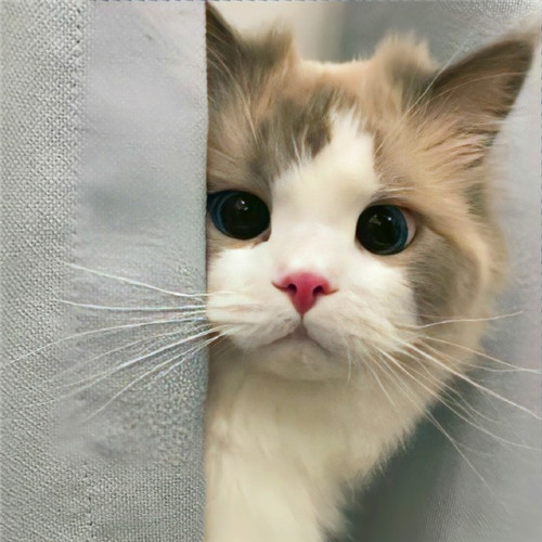 可爱小猫咪头像卡哇伊图片