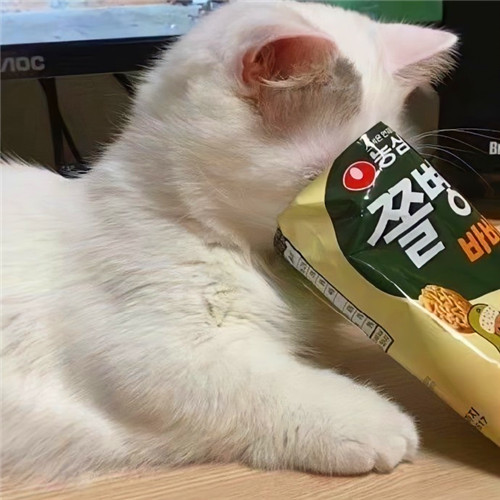 可爱小猫咪头像卡哇伊图片