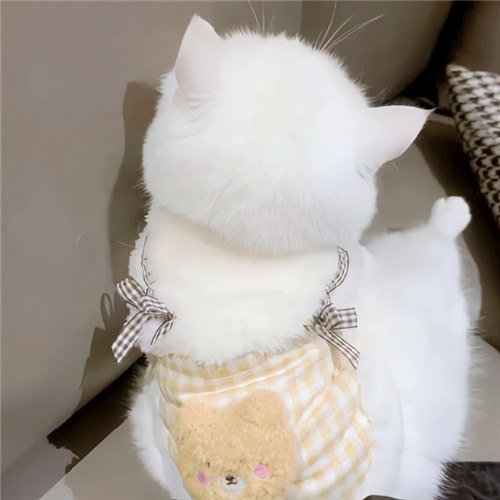 可爱小猫咪头像卡哇伊图片
