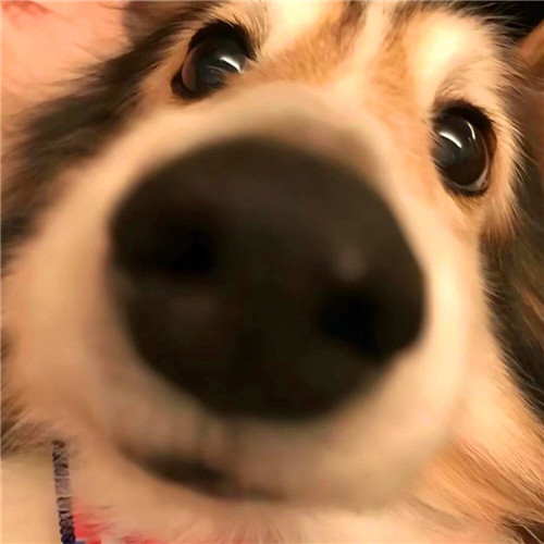 绝对看不出来的闺蜜头像