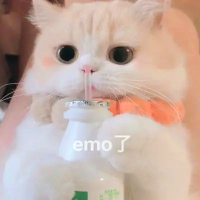 盘点那些让人破防的伤感emo头像图片