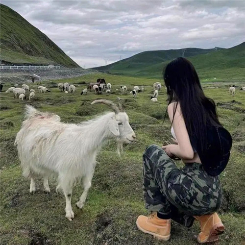 女生头像慵懒偏冷淡风小众好看图片
