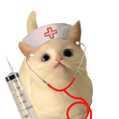 可爱的小动物头像图片