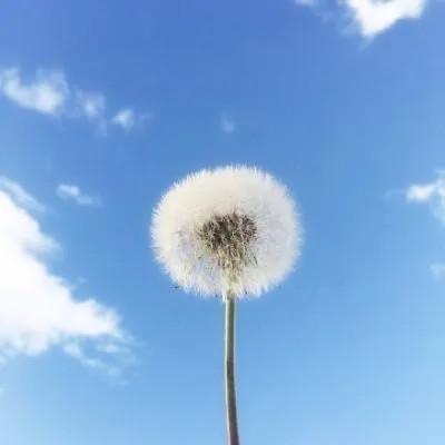 天空头像图片2025最火爆风景