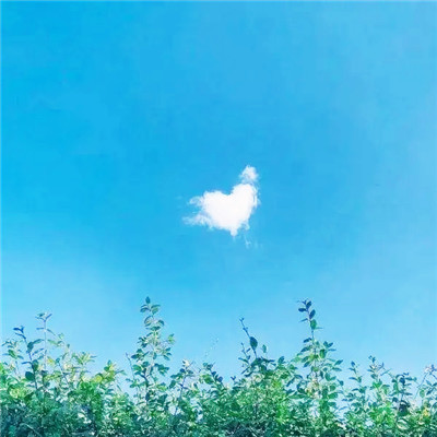 蓝色背景图片头像