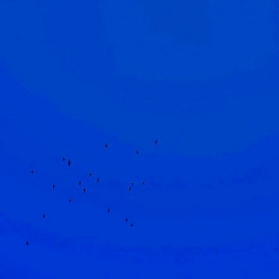 蓝色背景图片头像