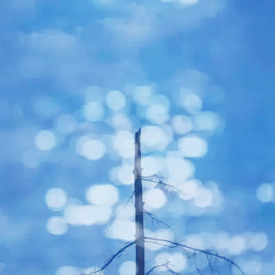 蓝色背景图片头像