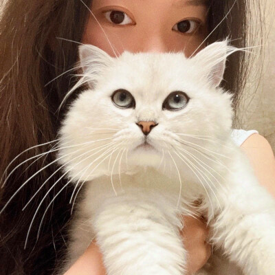 qq女生头像清新可爱高清图片