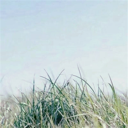 适合做头像的图片小清新