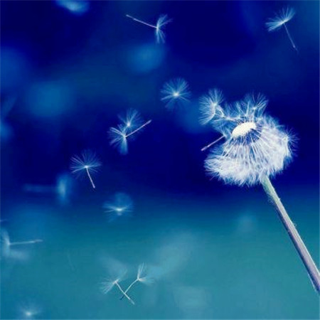 适合做头像的图片小清新