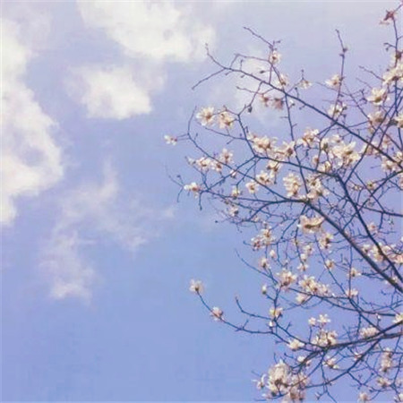 适合做头像的图片小清新