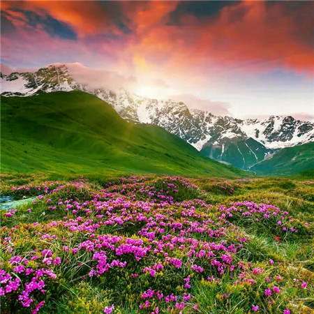 适合做头像的图片小清新