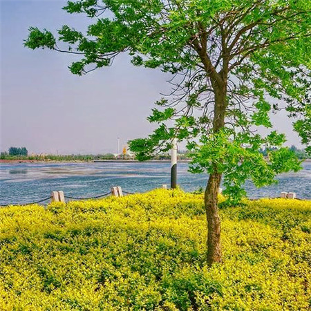 适合做头像的图片小清新