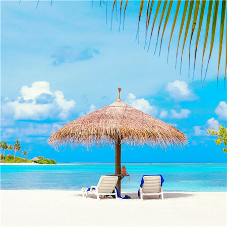 适合做头像的图片小清新