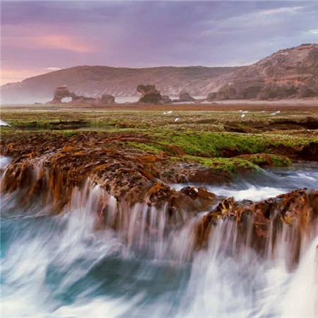 适合做头像的图片小清新