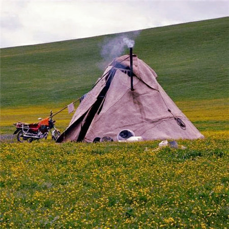 适合做头像的图片小清新