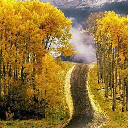 适合做头像的图片小清新