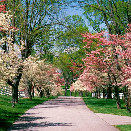 适合做头像的图片小清新