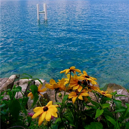 适合做头像的图片小清新