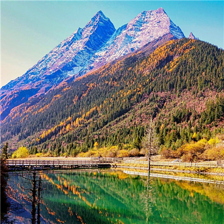 适合做头像的图片小清新