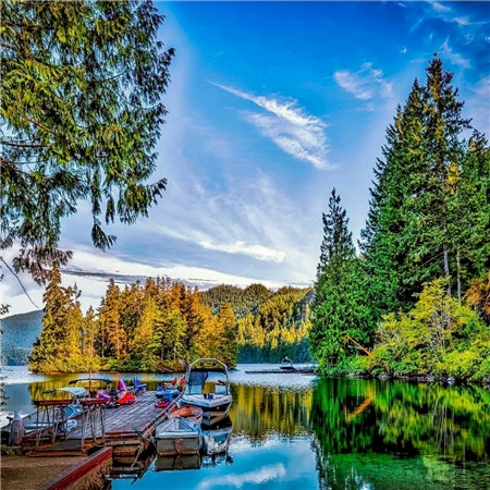 适合做头像的图片小清新