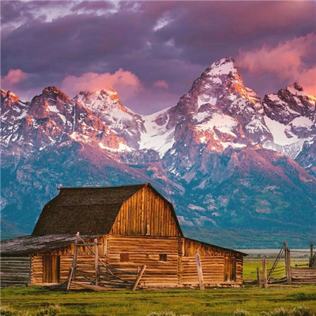 适合做头像的图片小清新