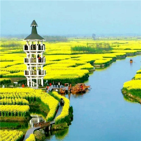 适合做头像的图片小清新