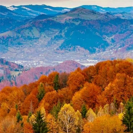 适合做头像的图片小清新