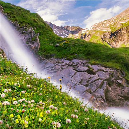 适合做头像的图片小清新
