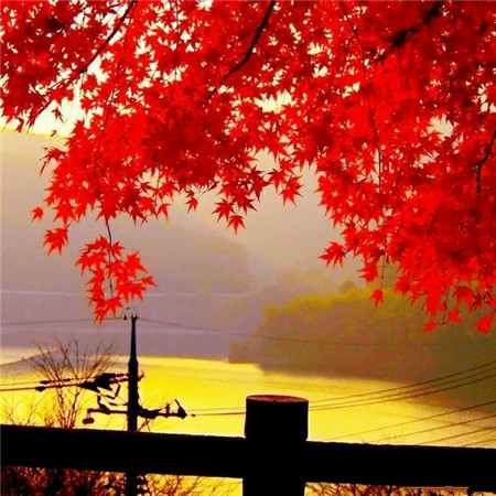 适合做头像的图片小清新