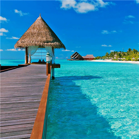 适合做头像的图片小清新