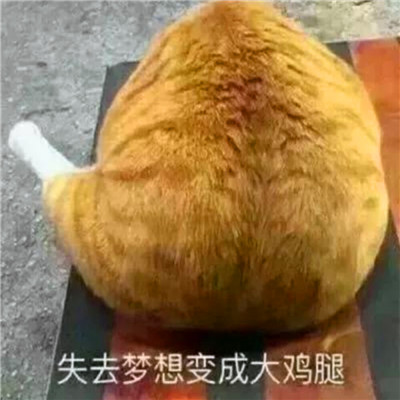 死党头像一左一右沙雕