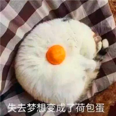 死党头像一左一右沙雕